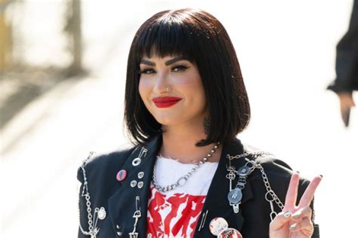Demi Lovato has new musician boyfriend report
