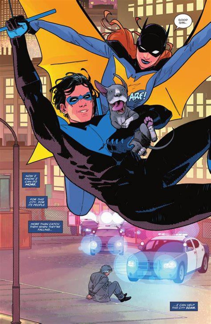 Dick Grayson and Barbara Gordon It's Complicated DC