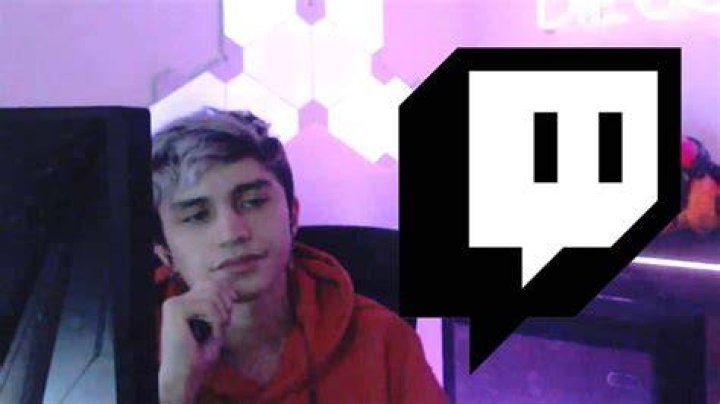 Diegosaurs swatted on twitch