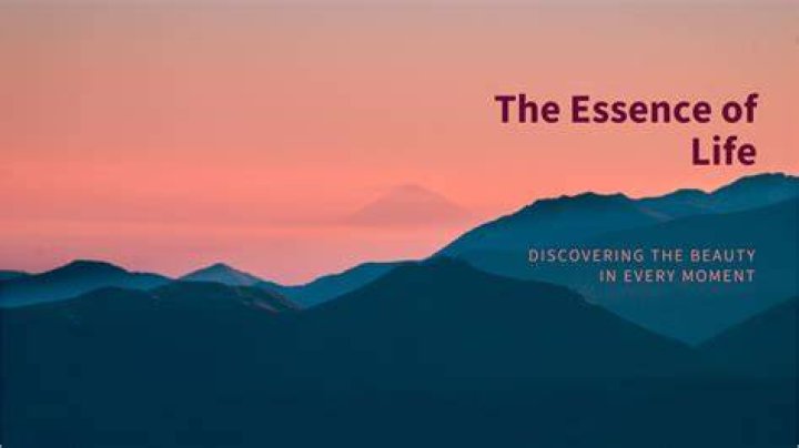 Discovering The Essence Of The Jasmine Crockett Family