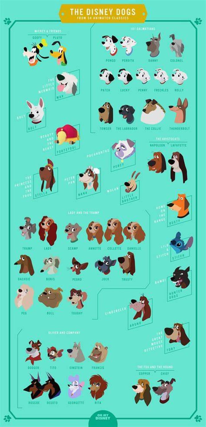 Disney Dogs