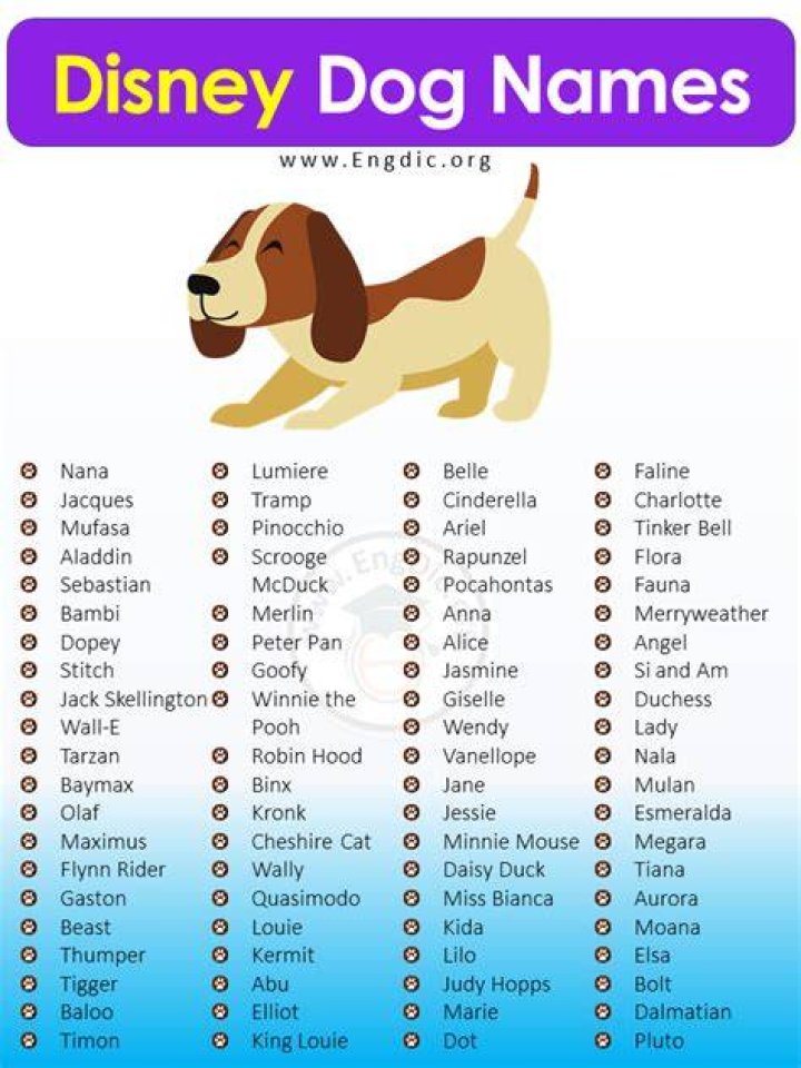 Disney Male Names For Pets Mutt Meow