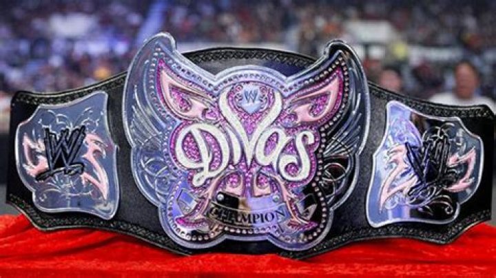 Divas Championship Money In The Bank 2014 Black wrestlers, Wwe