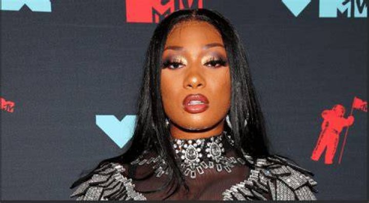 Does Megan Thee Stallion Have a Brother? Seth Rogen Finds Out the