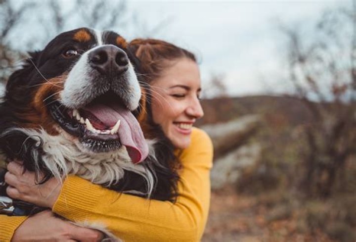 Dog Lovers Connect and Find PupApproved Love ANIMAL HEALTH INSTITUTE