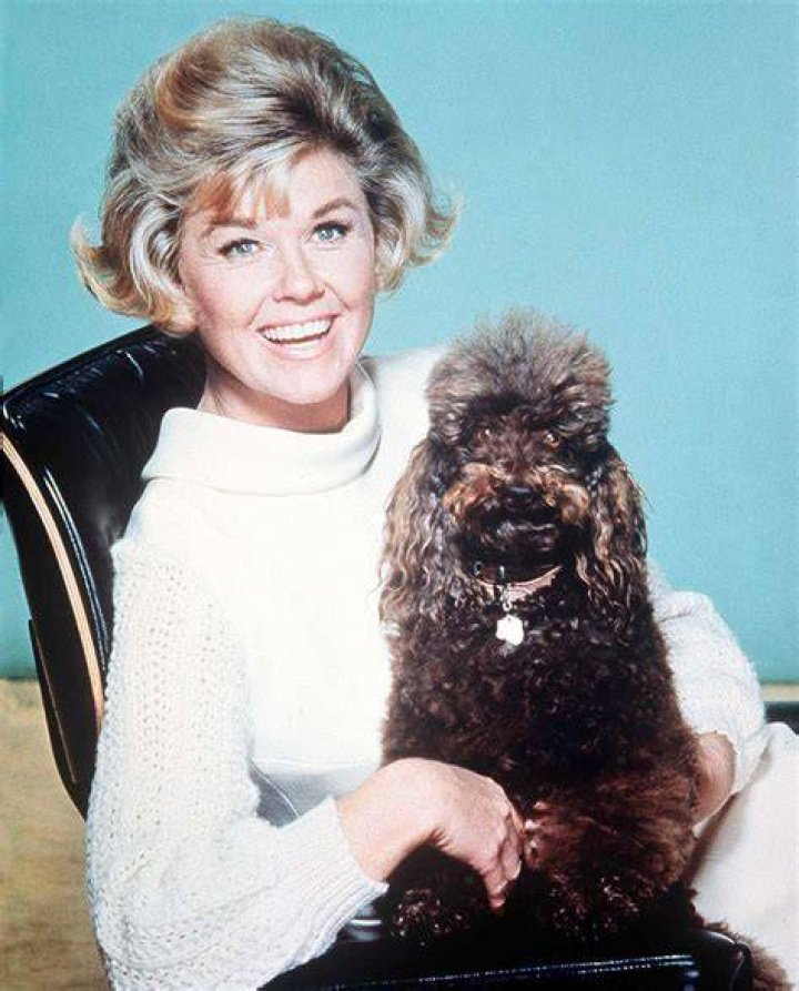 Doris Day Turns 95 See Her Birthday Portrait