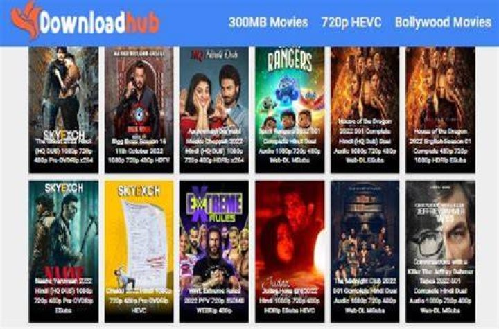 Download Hub 300Mb Movies zoomzaer