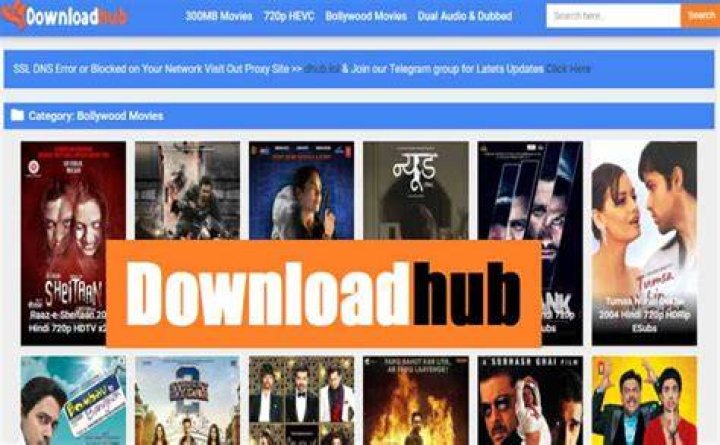 Downloadhub 2021 300 MB Latest Bollywood Movies Download