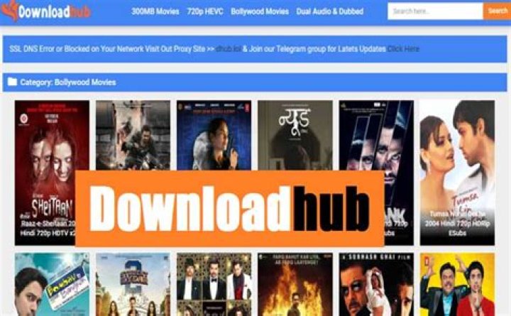 DownloadHub 2021 Download Full Movie Dual Audio 480p,720p,1080p HD For