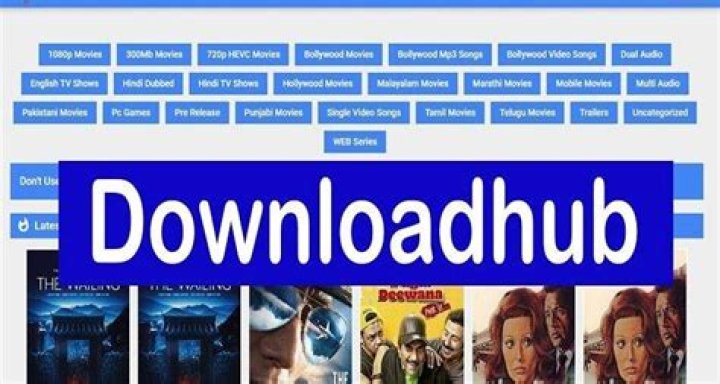 DownloadHub 2022 Download 300Mb Movies From Downloadhub Borntoblog.in