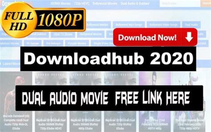 Downloadhub Download 300MB Dual Audio Bollywood, Hollywood Movies Free