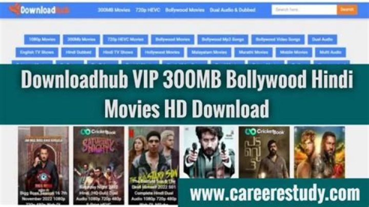 DownloadHub Download Top Best 300MB Dual Audio Movies, Hindi, Punjabi