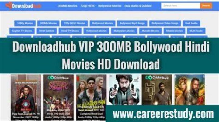 DownloadHub Dual Audio Bollywood Movies Download HubsAdda