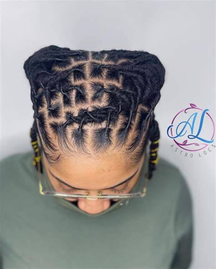 Dreadlock Styles, Dreads Styles, Dreadlock Hairstyles, Braided