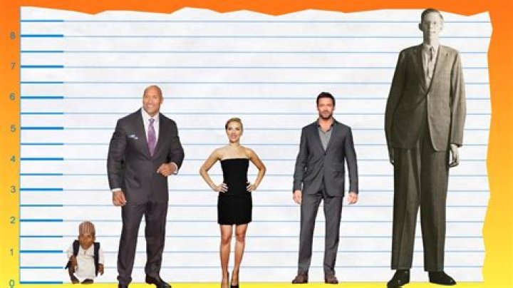Dwayne Johnson Height and Weight Measurements