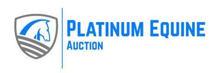 Easy E Platinum Equine Auction
