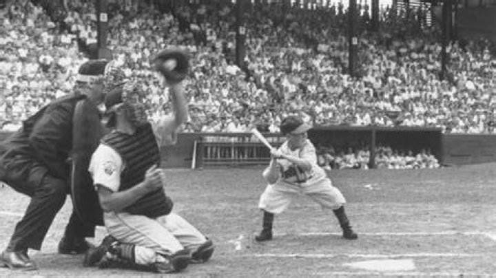 Eddie Gaedelshortest mlb player ever Baseball Photo (18168990) Fanpop