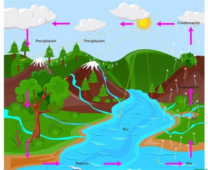 El Ciclo Del Agua The Water Cycle, Spanish (PNG) Geological, 44 OFF