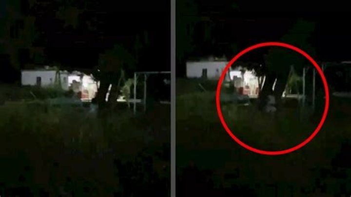 El perturbador video de un padre dando una paliza a su hijo por llegar