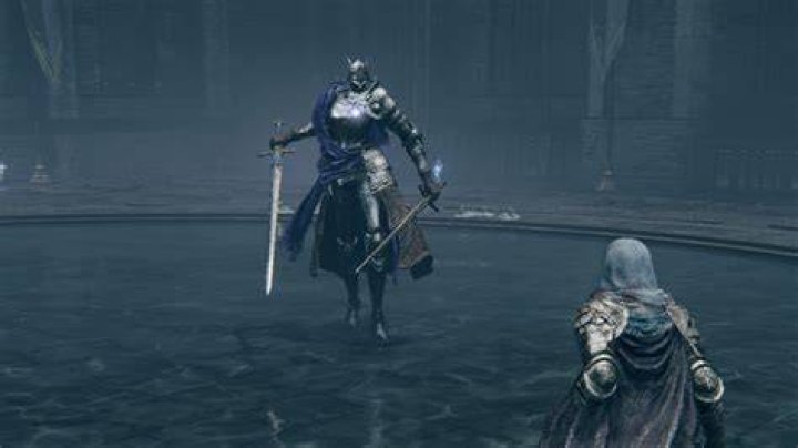 Elden Ring knight fight