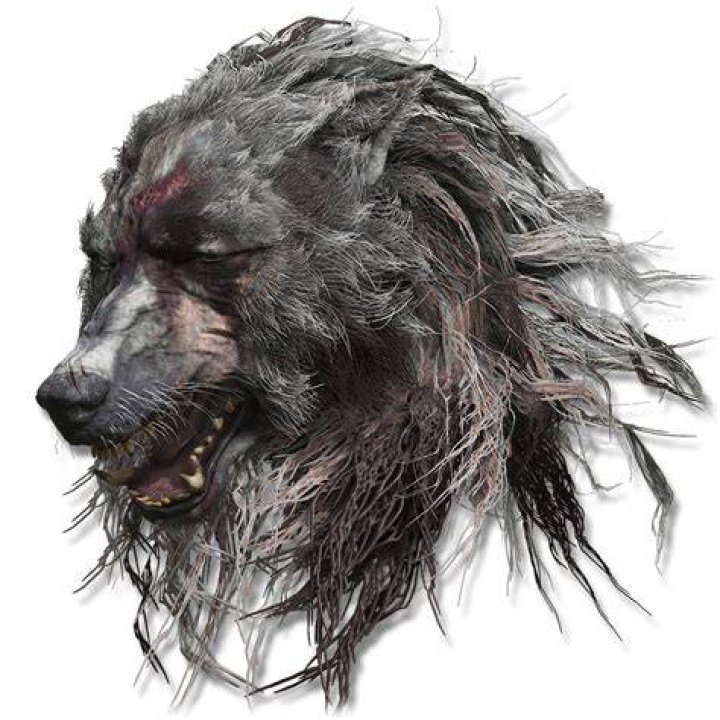 elden ring wolf head location