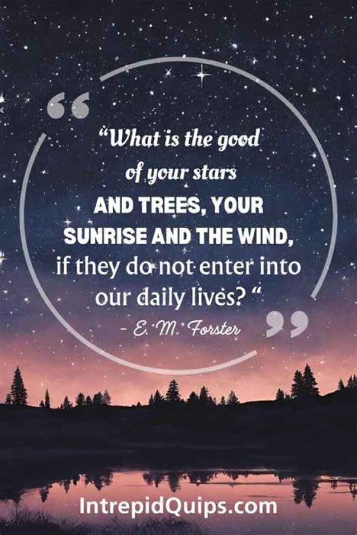 Embrace Your Stars Understanding Your April 28 Zodiac Sign