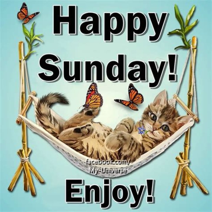 Enjoy Happy Sunday! Pictures, Photos, and Images for Facebook, Tumblr