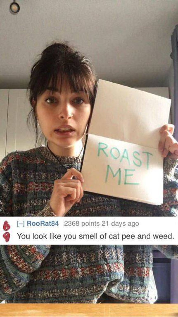 Examples Of Pretty Good Roasts (35 pics)