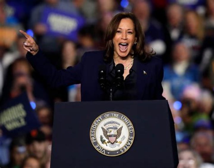 Fact Check Kamala Harris Photo Showing Her With Jeffrey Epstein Is Fake