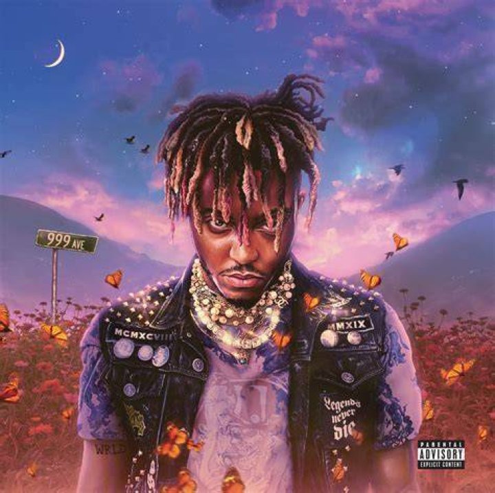 Fashionable Juice Wrld Legends Never Die 2X LP