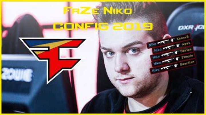 faze clan csgo niko ynk