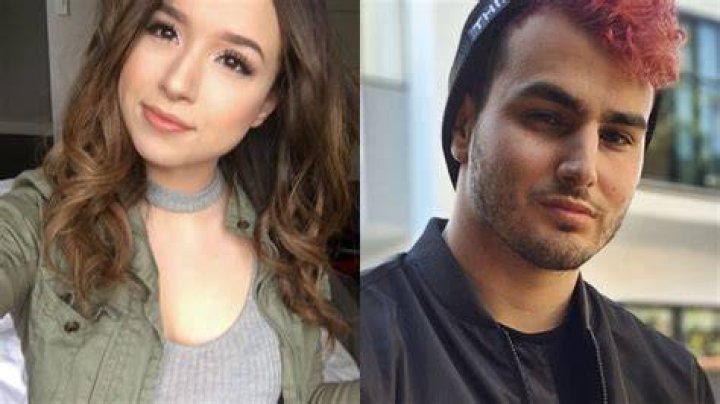 fedmyster and pokimane