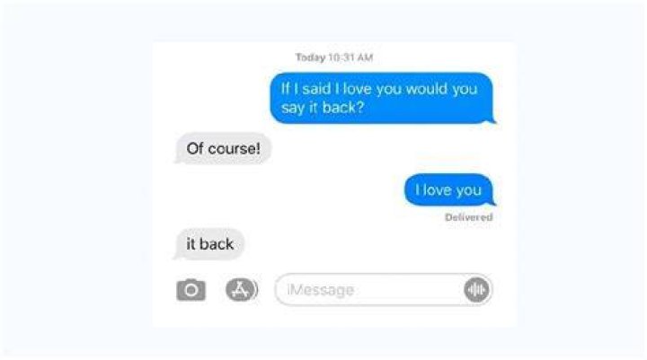 Funny Auto Text Responses to Phone Calls Aguirre Thavizings