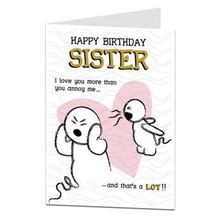 Funny Birthday Cards for Sisters A Hilarious Tribute Funny Birthday