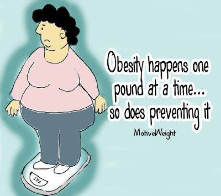 Funny Obesity Quotes. QuotesGram