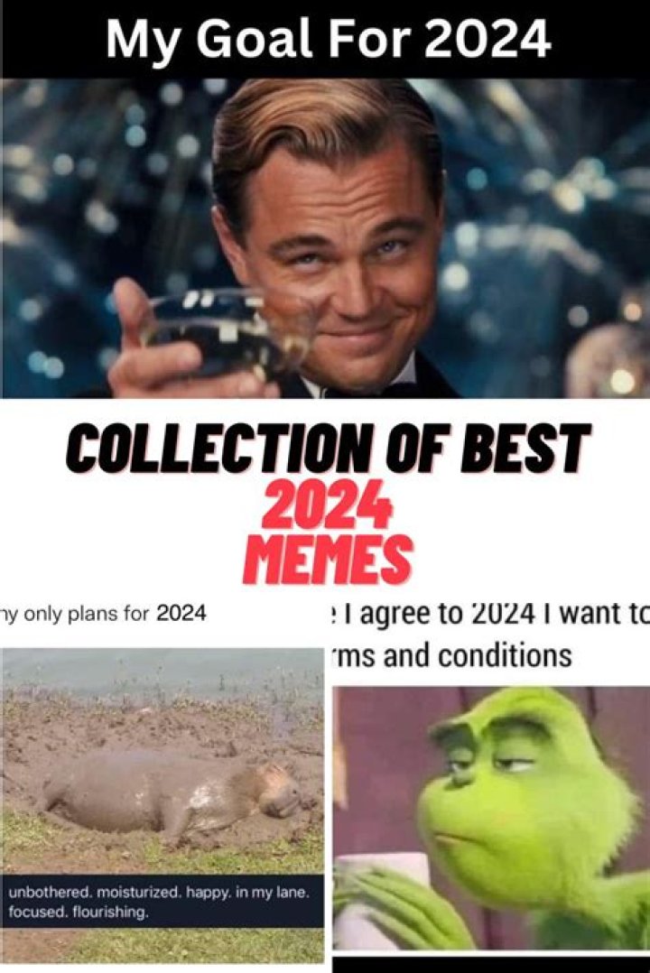 Funny Rude Memes 2024 Alfy Belinda