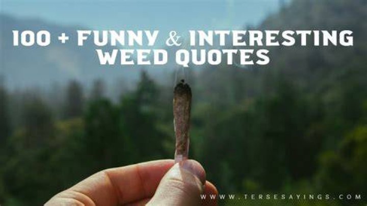 Funny Weed Quotes And Sayings. QuotesGram