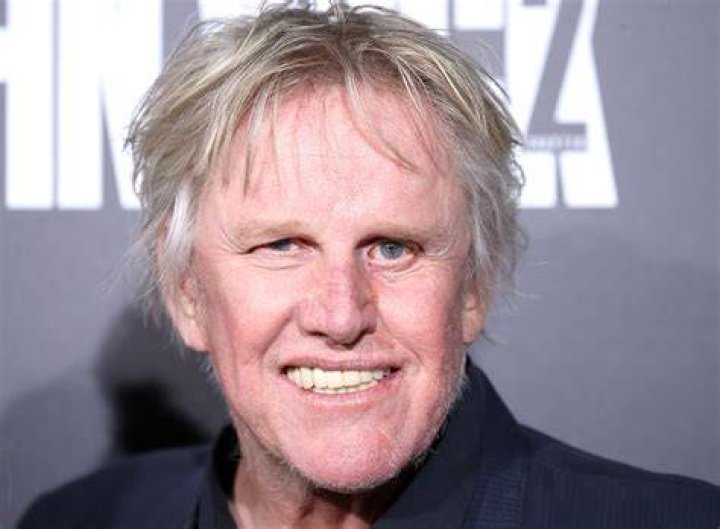 Gary Busey Will Do a TwoWeek Stint in Perfect Crime, New York&rsquo;s