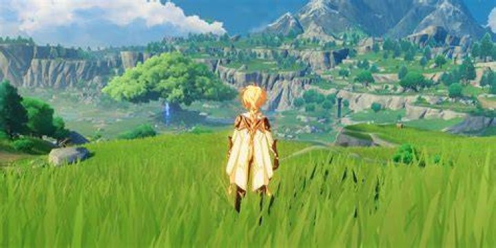 Genshin Impact's Lumine and Aether in a field of white flowers