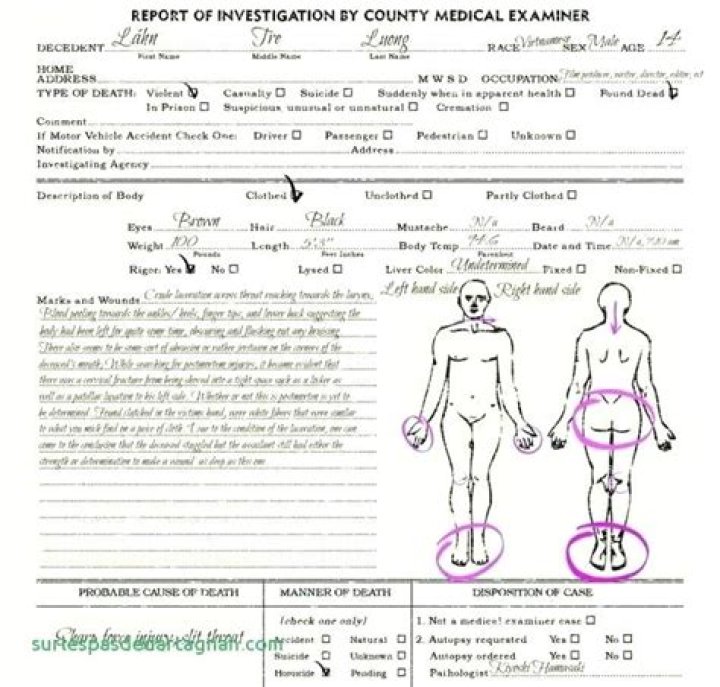 Gianna Bryant Autopsy Report Drawing What Caused Gigi's Horrific Death?