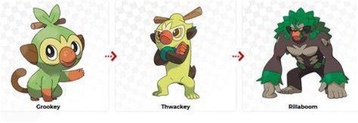 Grookey Thwackey and Rillaboom evolutions