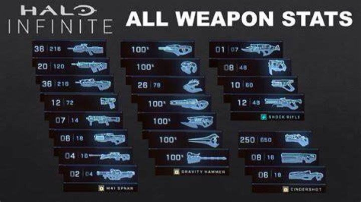 Halo Infinite accuracy chart