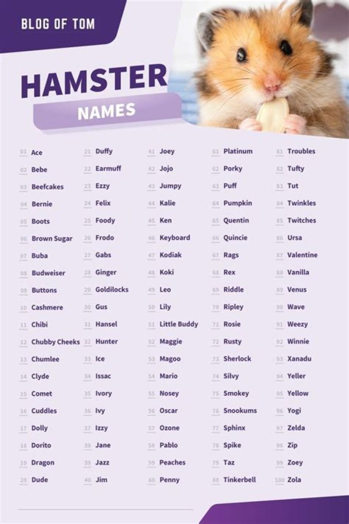 Hamster Names (Boy, Girl, Cute & Funny Ideas) Hamster names, Hamster