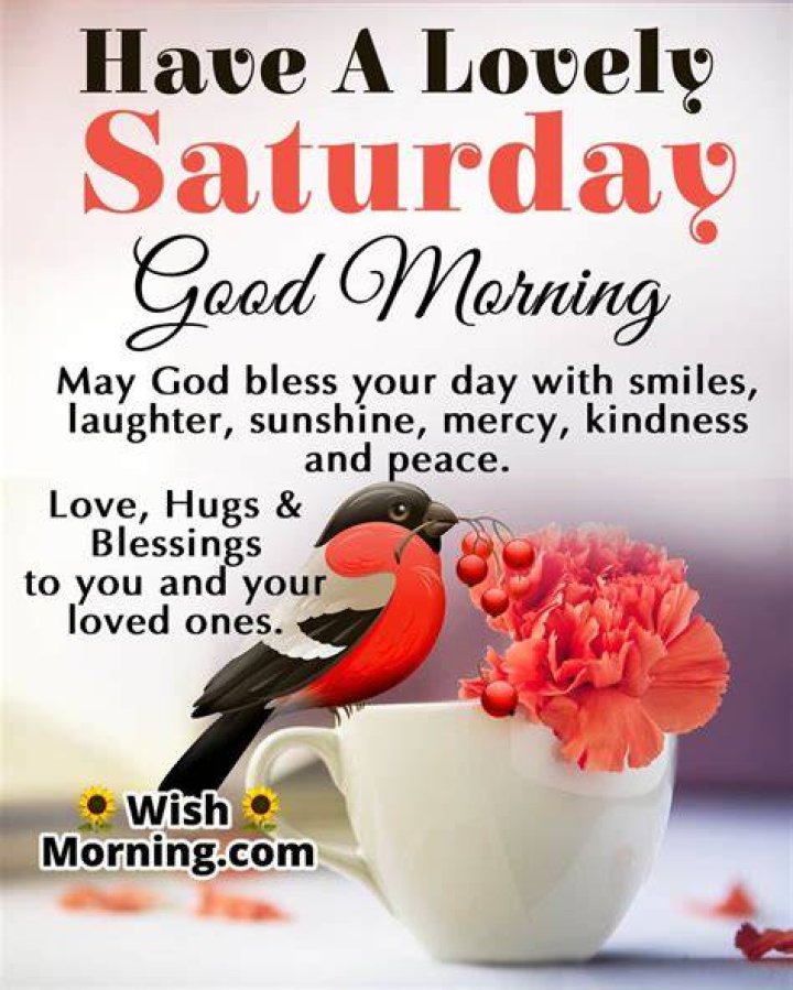 Happy Saturday Morning Quotes ShortQuotes.cc