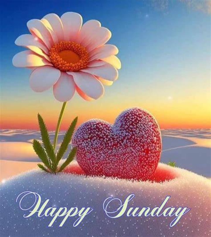 Happy Sunday Pictures, Photos, and Images for Facebook, Tumblr