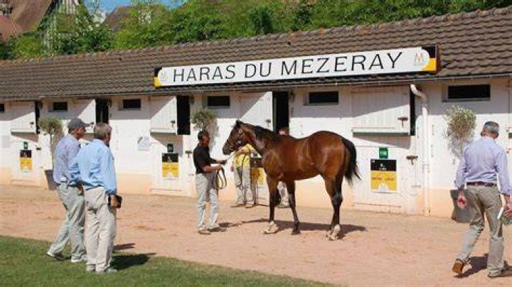 Haras du Mézeray. Le Kazakh Nurlan Bizakov rachète l'entreprise
