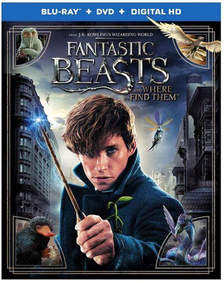 Harry Potter SpinOff FANTASTIC BEASTS AND WHERE TO FIND THEM Gets A