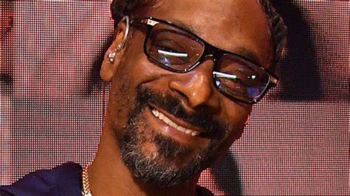 How Many Times Has Snoop Dogg Been Arrested? A Comprehensive Look