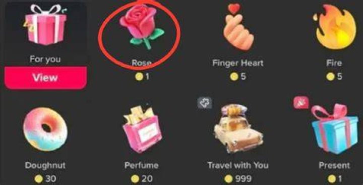 How Much Is A Rose On TikTok Why Is It Significant?, 45 OFF