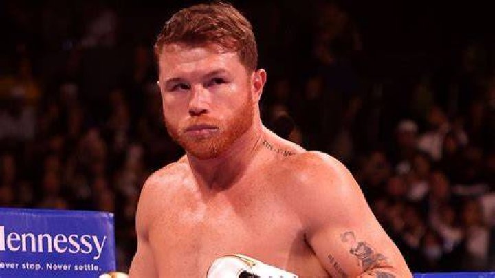 How old was Canelo Alvarez when he fought Mayweather Was the Mexican